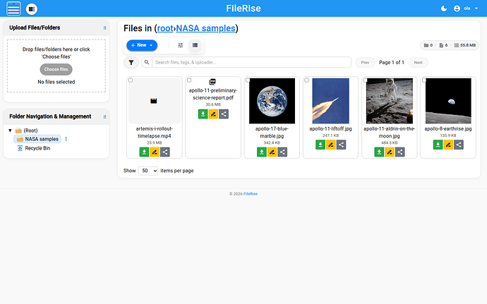 The FileRise gallery with picture thumbnails and other files.