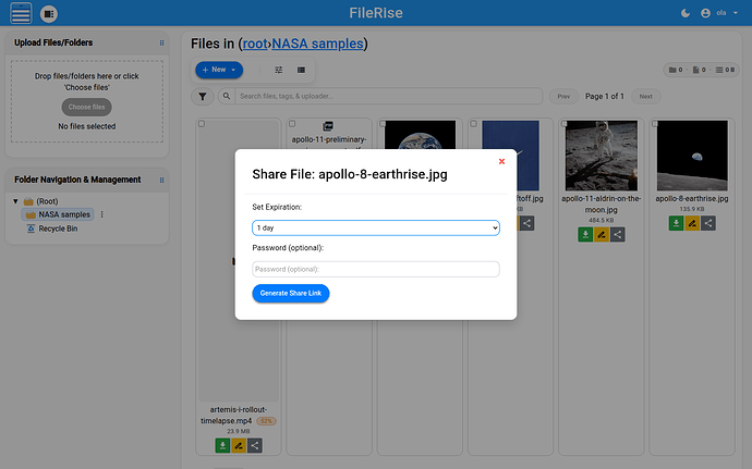 Link expiry and optional password settings