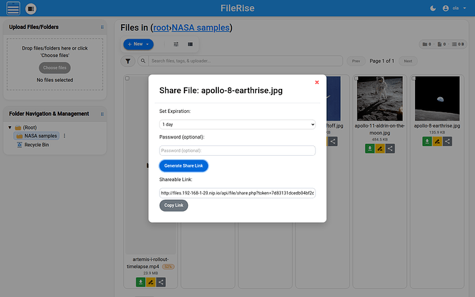 A generated FileRise sharing link