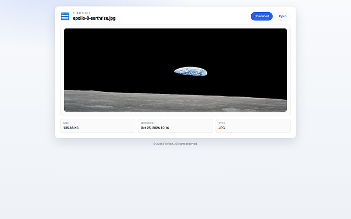A shared file viewed without signing in to a FileRise account